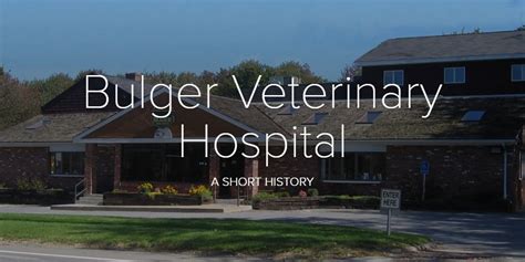 Bulger vet - Port City Veterinary Referral Hospital . Bulger Veterinary Hospital also offers General Practice appointments in addition to Emergency and Specialty services. To schedule an appointment at any of our Specialty Hospitals or for the General Practice at Bulger Veterinary Hospital, click here to access our online Appointment Request Form. 